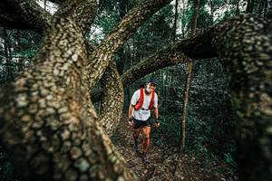 BIB: 
                            <button type="button" onclick="openModal(25393244)" class="btn btn-primary btn-sm float-right btn-popup" data-toggle="modal" data-target=".modal-high-quality">
                        <i class="fas fa-shopping-cart"></i> Add to Cart
                    </button>
                                            <button type="button" onclick="isThisMe(25393244, true)" class="btn btn-success btn-sm float-right btn-popup btn-isme hidden" data-toggle="tooltip" data-placement="bottom" title="นี่คือรูปของคุณใช่ไหม คลิกที่นี่เพื่อเอาเข้าอัลบั้ม">
                        <i class="fas fa-plus"></i> Add to album
                    </button>
                    <button type="button" onclick="isThisMe(25393244, false)" class="btn btn-warning btn-sm float-right btn-popup btn-isnotme hidden">
                        <i class="fas fa-ban"></i> Remove from album
                    </button>